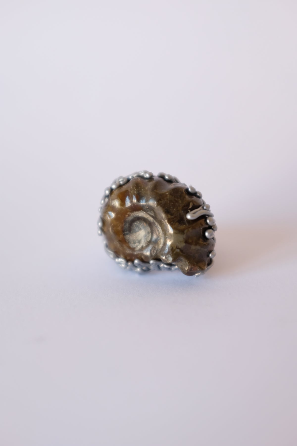 Amonite Ring