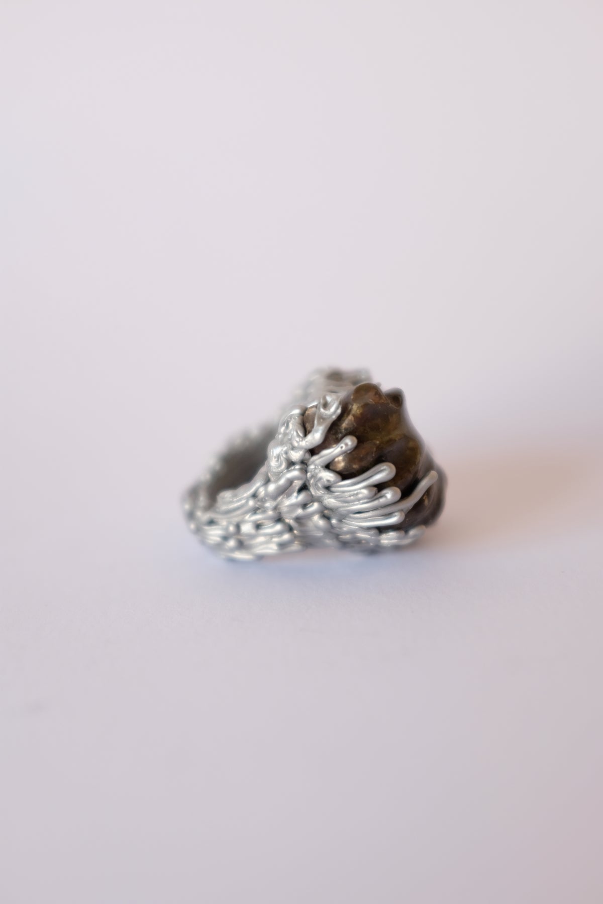 Amonite Ring